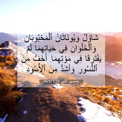 Picture 07 - صَمُوئِيلَ ٱلثَّانِي 1:23 AVD - شَاوُلُ وَيُونَاثَانُ - Bible Verse Picture