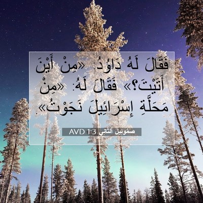Picture 07 - صَمُوئِيلَ ٱلثَّانِي 1:3 AVD - فَقَالَ لَهُ دَاوُدُ: - Bible Verse Picture