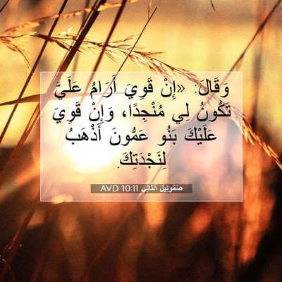 Picture 07 - صَمُوئِيلَ ٱلثَّانِي 10:11 AVD - وَقَالَ: «إِنْ قَوِيَ - Bible Verse Picture