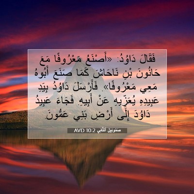 Picture 07 - صَمُوئِيلَ ٱلثَّانِي 10:2 AVD - فَقَالَ دَاوُدُ: «أَصْنَعُ - Bible Verse Picture