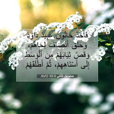 Picture 07 - صَمُوئِيلَ ٱلثَّانِي 10:4 AVD - فَأَخَذَ حَانُونُ عَبِيدَ - Bible Verse Picture