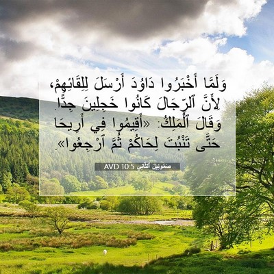 Picture 07 - صَمُوئِيلَ ٱلثَّانِي 10:5 AVD - وَلَمَّا أَخْبَرُوا - Bible Verse Picture