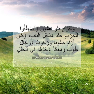 Picture 07 - صَمُوئِيلَ ٱلثَّانِي 10:8 AVD - وَخَرَجَ بَنُو عَمُّونَ - Bible Verse Picture
