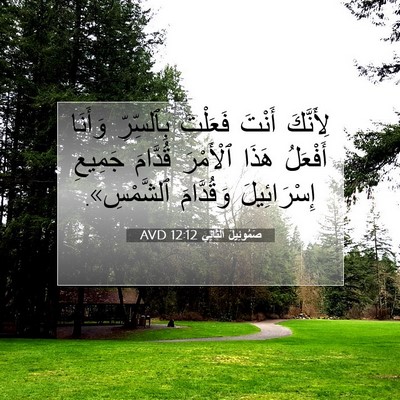 Picture 07 - صَمُوئِيلَ ٱلثَّانِي 12:12 AVD - لِأَنَّكَ أَنْتَ فَعَلْتَ - Bible Verse Picture