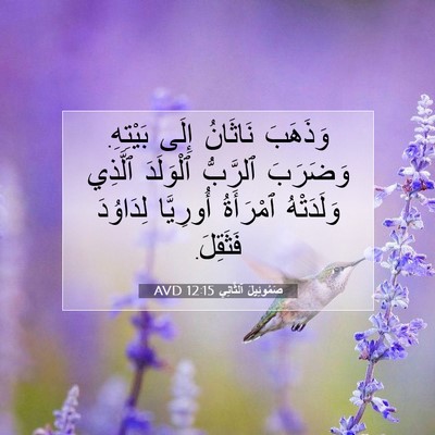Picture 07 - صَمُوئِيلَ ٱلثَّانِي 12:15 AVD - وَذَهَبَ نَاثَانُ إِلَى - Bible Verse Picture