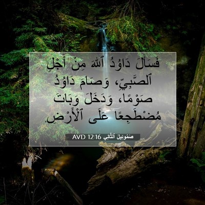 Picture 07 - صَمُوئِيلَ ٱلثَّانِي 12:16 AVD - فَسَأَلَ دَاوُدُ ٱللهَ - Bible Verse Picture