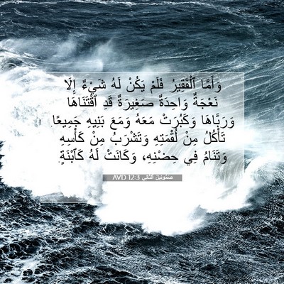 Picture 07 - صَمُوئِيلَ ٱلثَّانِي 12:3 AVD - وَأَمَّا ٱلْفَقِيرُ - Bible Verse Picture