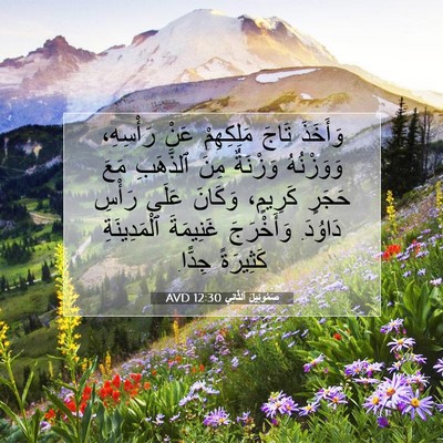 Picture 07 - صَمُوئِيلَ ٱلثَّانِي 12:30 AVD - وَأَخَذَ تَاجَ مَلِكِهِمْ - Bible Verse Picture