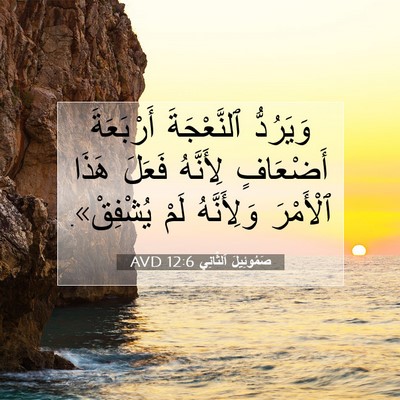 Picture 07 - صَمُوئِيلَ ٱلثَّانِي 12:6 AVD - وَيَرُدُّ ٱلنَّعْجَةَ - Bible Verse Picture