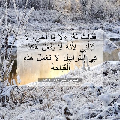 Picture 07 - صَمُوئِيلَ ٱلثَّانِي 13:12 AVD - فَقَالَتْ لَهُ: «لَا يَا - Bible Verse Picture