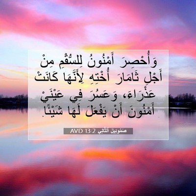 Picture 07 - صَمُوئِيلَ ٱلثَّانِي 13:2 AVD - وَأُحْصِرَ أَمْنُونُ - Bible Verse Picture