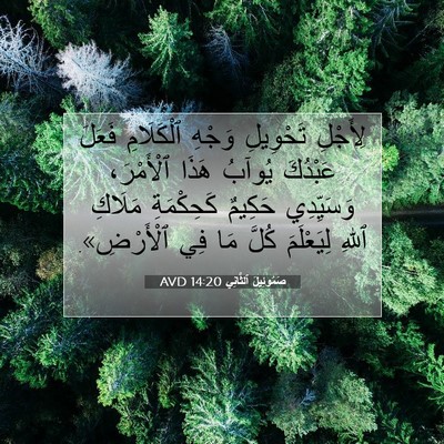 Picture 07 - صَمُوئِيلَ ٱلثَّانِي 14:20 AVD - لِأَجْلِ تَحْوِيلِ وَجْهِ - Bible Verse Picture