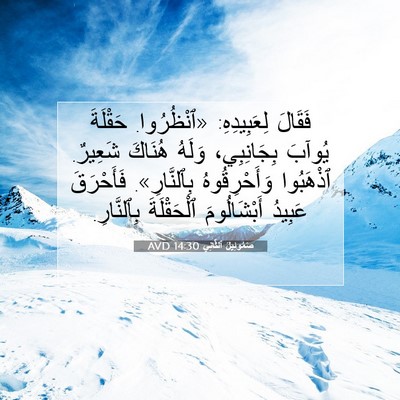 Picture 07 - صَمُوئِيلَ ٱلثَّانِي 14:30 AVD - فَقَالَ لِعَبِيدِهِ: - Bible Verse Picture