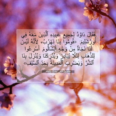 Picture 07 - صَمُوئِيلَ ٱلثَّانِي 15:14 AVD - فَقَالَ دَاوُدُ لِجَمِيعِ - Bible Verse Picture