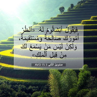 Picture 07 - صَمُوئِيلَ ٱلثَّانِي 15:3 AVD - فَيَقُولُ أَبْشَالُومُ - Bible Verse Picture