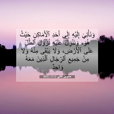 Picture 07 - صَمُوئِيلَ ٱلثَّانِي 17:12 AVD - وَنَأْتِيَ إِلَيْهِ إِلَى - Bible Verse Picture