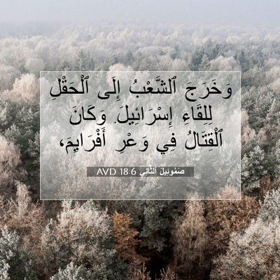 Picture 07 - صَمُوئِيلَ ٱلثَّانِي 18:6 AVD - وَخَرَجَ ٱلشَّعْبُ إِلَى - Bible Verse Picture