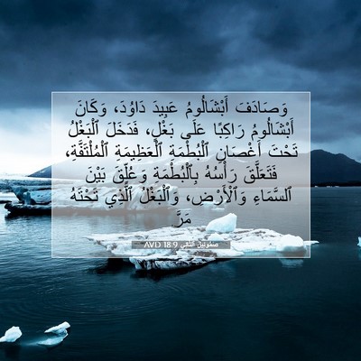 Picture 07 - صَمُوئِيلَ ٱلثَّانِي 18:9 AVD - وَصَادَفَ أَبْشَالُومُ - Bible Verse Picture