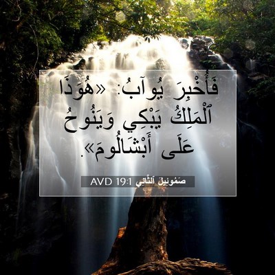 Picture 07 - صَمُوئِيلَ ٱلثَّانِي 19:1 AVD - فَأُخْبِرَ يُوآبُ: - Bible Verse Picture