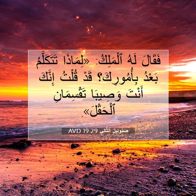 Picture 07 - صَمُوئِيلَ ٱلثَّانِي 19:29 AVD - فَقَالَ لَهُ ٱلْمَلِكُ: - Bible Verse Picture