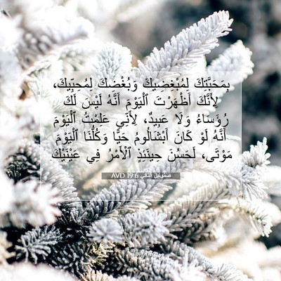 Picture 07 - صَمُوئِيلَ ٱلثَّانِي 19:6 AVD - بِمَحَبَّتِكَ - Bible Verse Picture