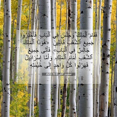 Picture 07 - صَمُوئِيلَ ٱلثَّانِي 19:8 AVD - فَقَامَ ٱلْمَلِكُ - Bible Verse Picture