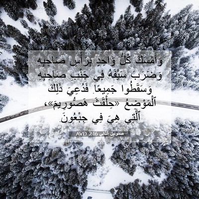 Picture 07 - صَمُوئِيلَ ٱلثَّانِي 2:16 AVD - وَأَمْسَكَ كُلُّ وَاحِدٍ - Bible Verse Picture