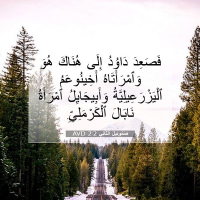Picture 07 - صَمُوئِيلَ ٱلثَّانِي 2:2 AVD - فَصَعِدَ دَاوُدُ إِلَى - Bible Verse Picture