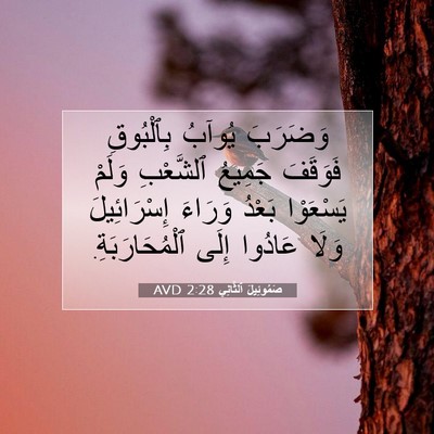Picture 07 - صَمُوئِيلَ ٱلثَّانِي 2:28 AVD - وَضَرَبَ يُوآبُ - Bible Verse Picture