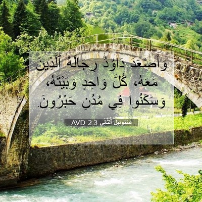 Picture 07 - صَمُوئِيلَ ٱلثَّانِي 2:3 AVD - وَأَصْعَدَ دَاوُدُ - Bible Verse Picture