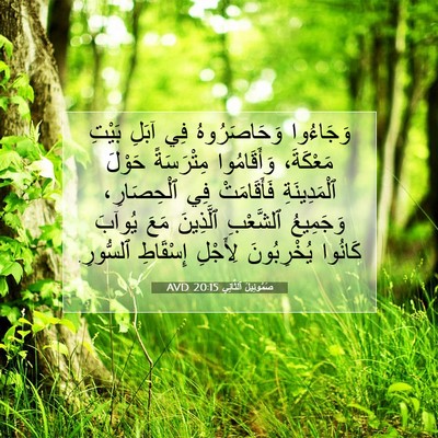 Picture 07 - صَمُوئِيلَ ٱلثَّانِي 20:15 AVD - وَجَاءُوا وَحَاصَرُوهُ - Bible Verse Picture