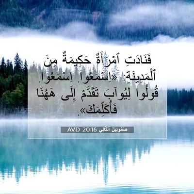 Picture 07 - صَمُوئِيلَ ٱلثَّانِي 20:16 AVD - فَنَادَتِ ٱمْرَأَةٌ - Bible Verse Picture