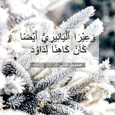 Picture 07 - صَمُوئِيلَ ٱلثَّانِي 20:26 AVD - وَعِيْرَا ٱلْيَائِيرِيُّ - Bible Verse Picture