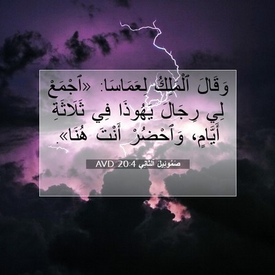 Picture 07 - صَمُوئِيلَ ٱلثَّانِي 20:4 AVD - وَقَالَ ٱلْمَلِكُ - Bible Verse Picture