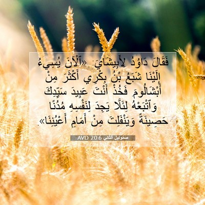 Picture 07 - صَمُوئِيلَ ٱلثَّانِي 20:6 AVD - فَقَالَ دَاوُدُ - Bible Verse Picture