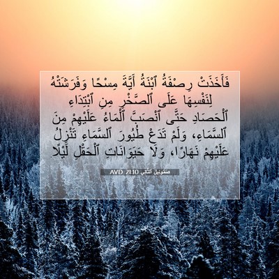 Picture 07 - صَمُوئِيلَ ٱلثَّانِي 21:10 AVD - فَأَخَذَتْ رِصْفَةُ - Bible Verse Picture