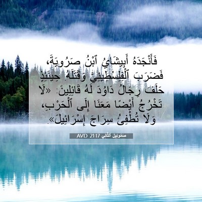 Picture 07 - صَمُوئِيلَ ٱلثَّانِي 21:17 AVD - فَأَنْجَدَهُ أَبِيشَايُ - Bible Verse Picture