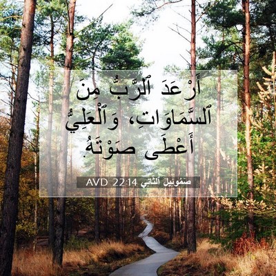 Picture 07 - صَمُوئِيلَ ٱلثَّانِي 22:14 AVD - أَرْعَدَ ٱلرَّبُّ مِنَ - Bible Verse Picture