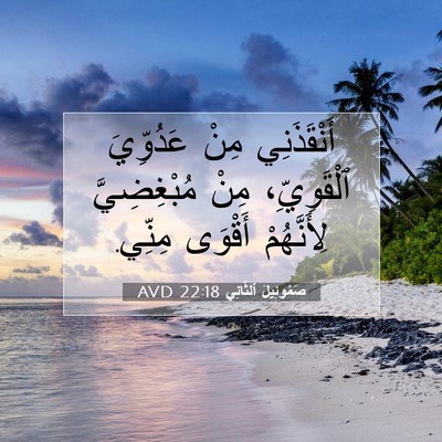 Picture 07 - صَمُوئِيلَ ٱلثَّانِي 22:18 AVD - أَنْقَذَنِي مِنْ - Bible Verse Picture