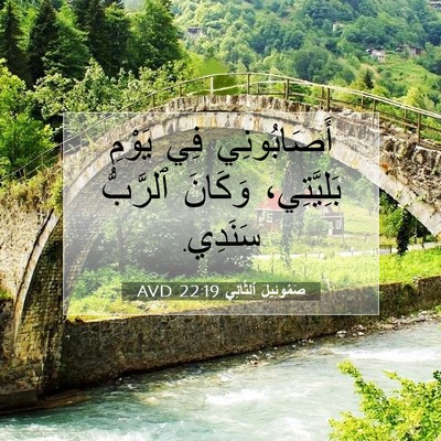 Picture 07 - صَمُوئِيلَ ٱلثَّانِي 22:19 AVD - أَصَابُونِي فِي يَوْمِ - Bible Verse Picture
