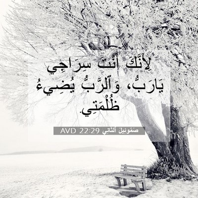 Picture 07 - صَمُوئِيلَ ٱلثَّانِي 22:29 AVD - لِأَنَّكَ أَنْتَ سِرَاجِي - Bible Verse Picture