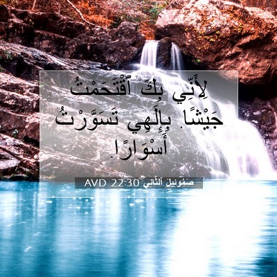 Picture 07 - صَمُوئِيلَ ٱلثَّانِي 22:30 AVD - لِأَنِّي بِكَ ٱقْتَحَمْتُ - Bible Verse Picture