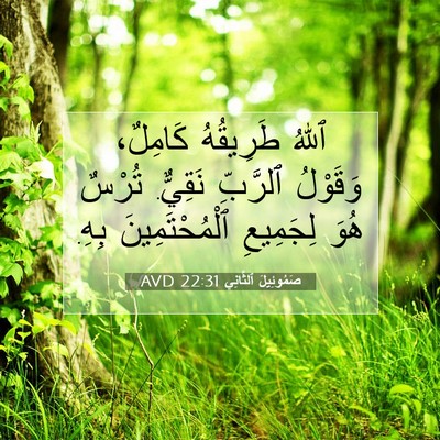 Picture 07 - صَمُوئِيلَ ٱلثَّانِي 22:31 AVD - ٱللهُ طَرِيقُهُ كَامِلٌ، - Bible Verse Picture