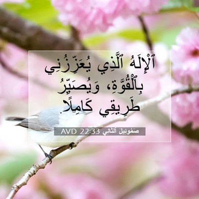 Picture 07 - صَمُوئِيلَ ٱلثَّانِي 22:33 AVD - ٱلْإِلَهُ ٱلَّذِي - Bible Verse Picture