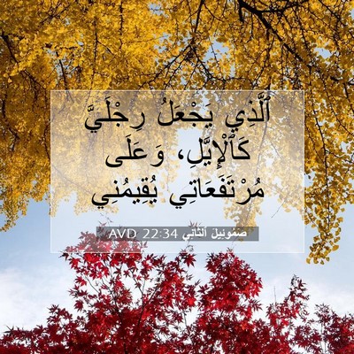 Picture 07 - صَمُوئِيلَ ٱلثَّانِي 22:34 AVD - ٱلَّذِي يَجْعَلُ - Bible Verse Picture