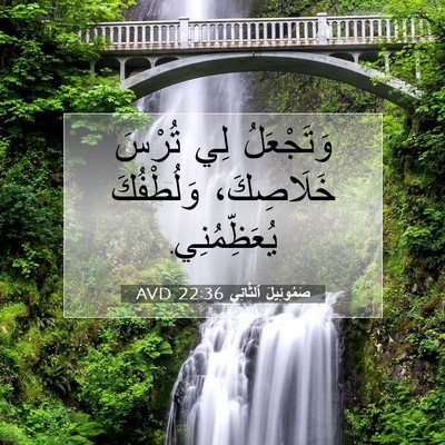 Picture 07 - صَمُوئِيلَ ٱلثَّانِي 22:36 AVD - وَتَجْعَلُ لِي تُرْسَ - Bible Verse Picture