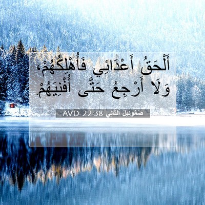 Picture 07 - صَمُوئِيلَ ٱلثَّانِي 22:38 AVD - أَلْحَقُ أَعْدَائِي - Bible Verse Picture
