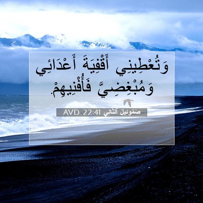 Picture 07 - صَمُوئِيلَ ٱلثَّانِي 22:41 AVD - وَتُعْطِينِي أَقْفِيَةَ - Bible Verse Picture