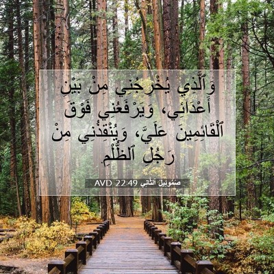 Picture 07 - صَمُوئِيلَ ٱلثَّانِي 22:49 AVD - وَٱلَّذِي يُخْرِجُنِي - Bible Verse Picture