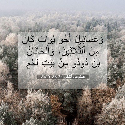 Picture 07 - صَمُوئِيلَ ٱلثَّانِي 23:24 AVD - وَعَسَائِيلُ أَخُو يُوآبَ - Bible Verse Picture